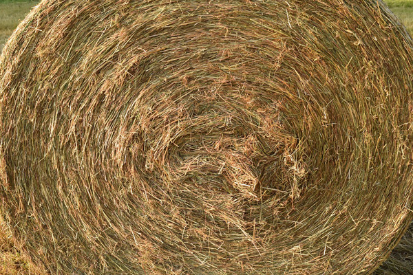 haybale