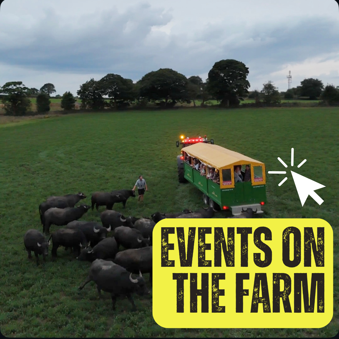 Events at Oakleys Farm