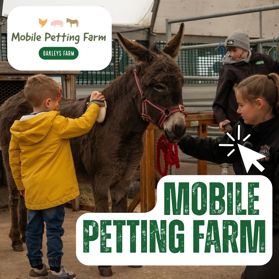 GROUNDWORKS & PLANT HIRE